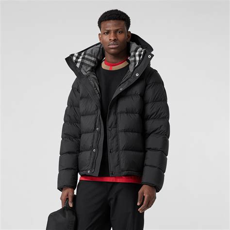 burberry puffer coat mens